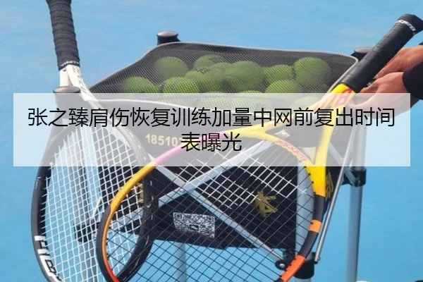 张之臻肩伤恢复训练加量中网前复出时间表曝光